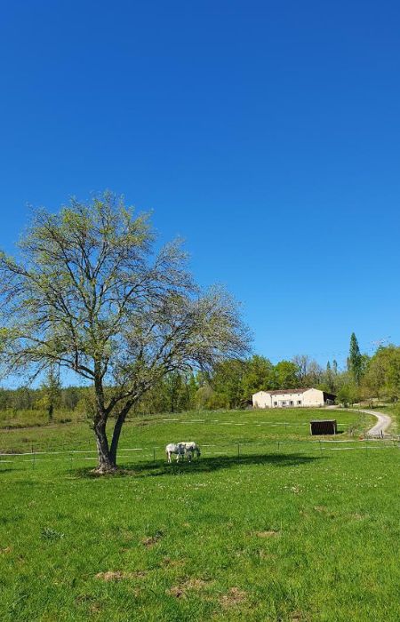 Le domaine